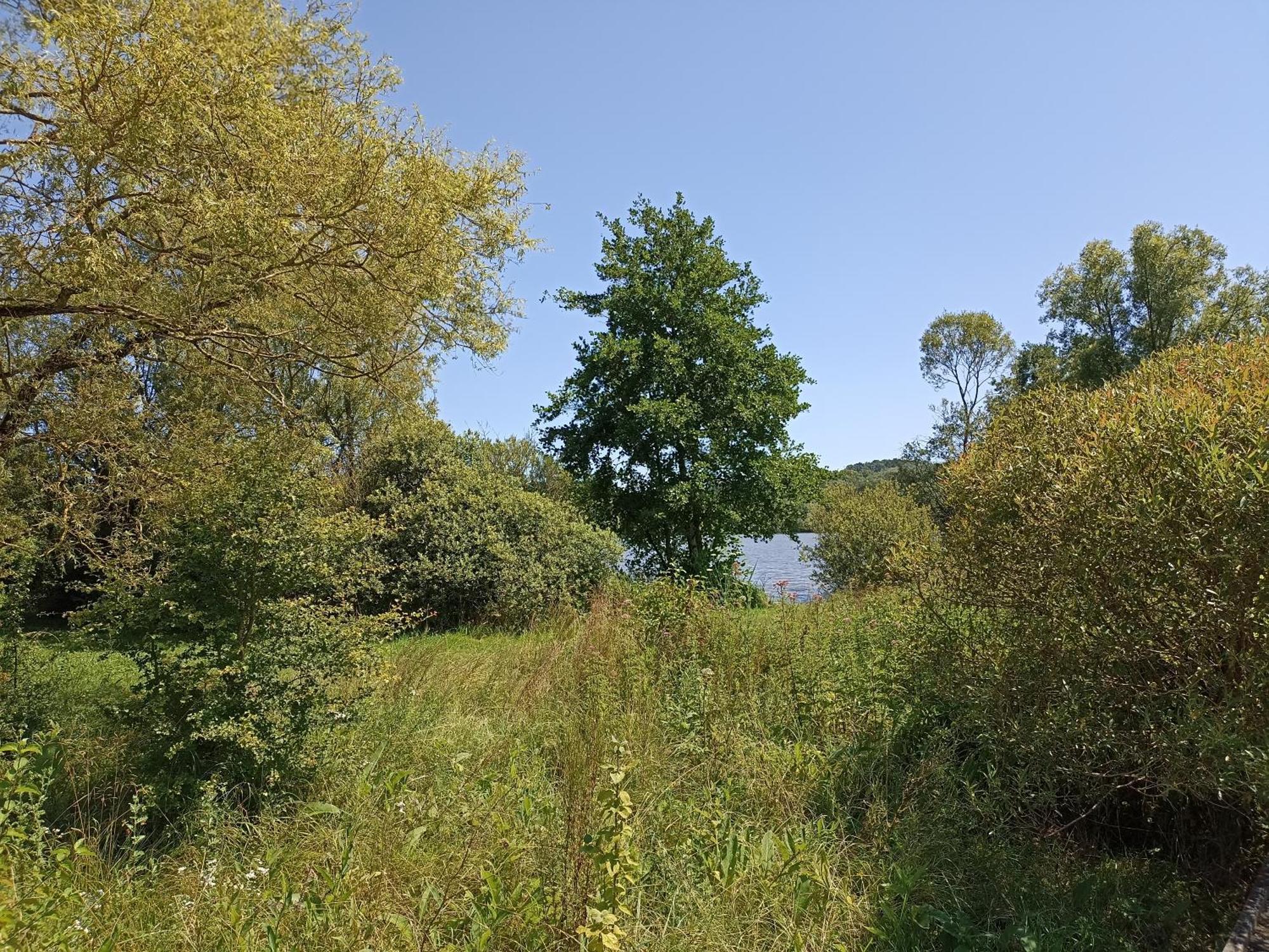 Gite Nature Et Detente Aubréville المظهر الخارجي الصورة