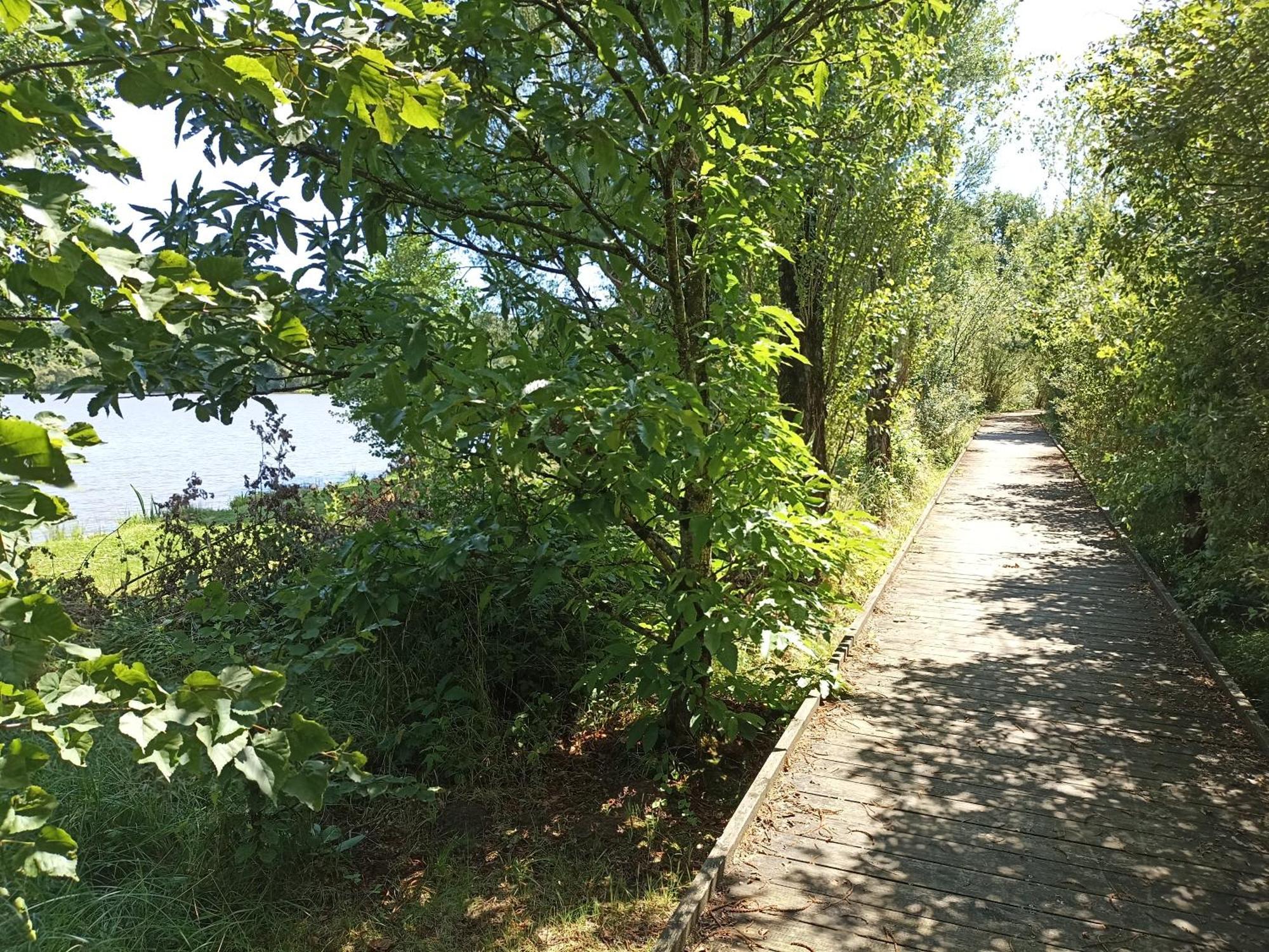 Gite Nature Et Detente Aubréville المظهر الخارجي الصورة