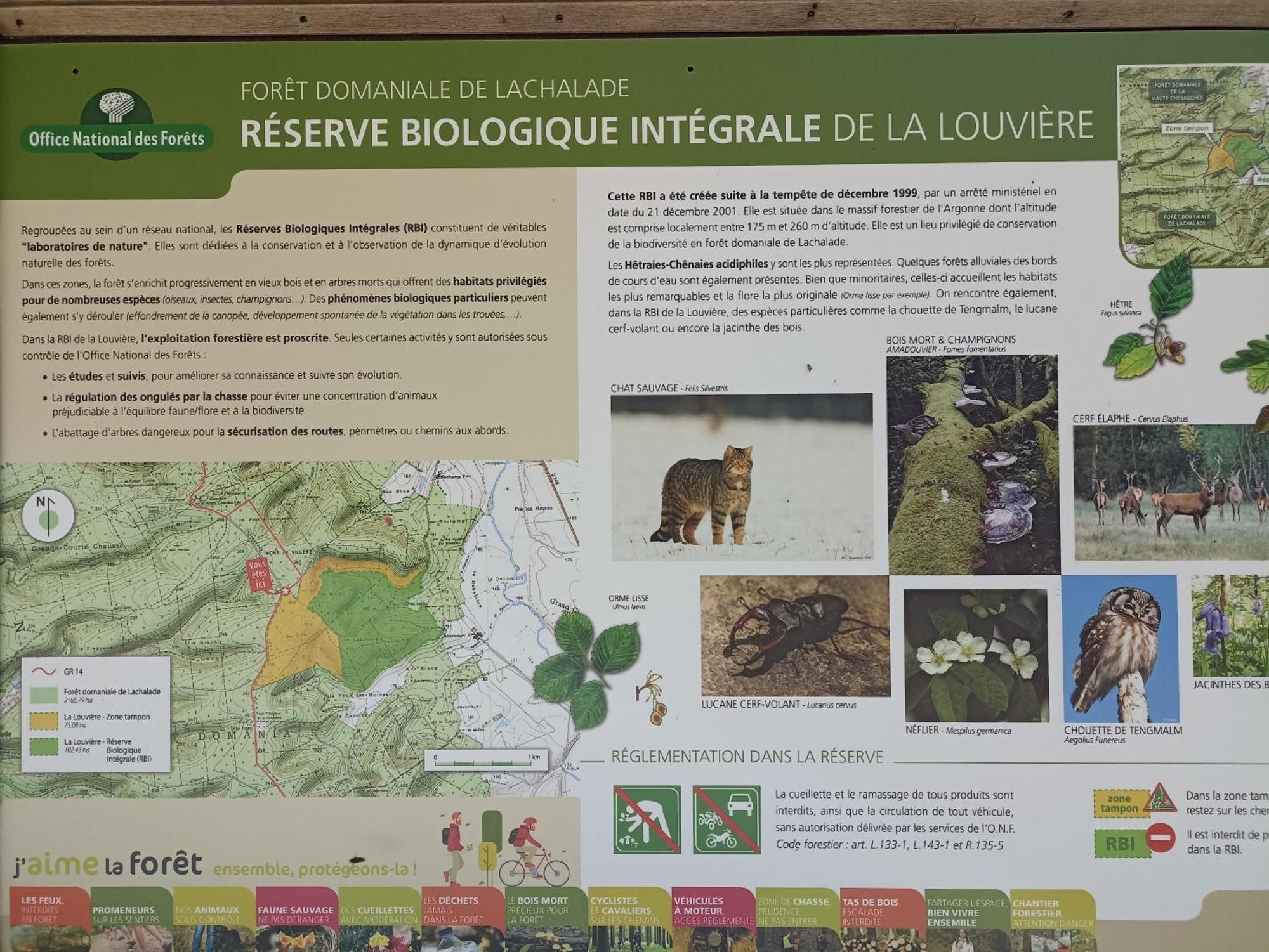 Gite Nature Et Detente Aubréville المظهر الخارجي الصورة